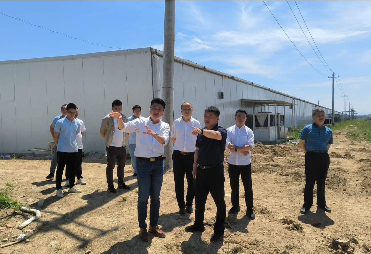 市國(guó)控集團(tuán)黨委書(shū)記、董事長(zhǎng)張志堅(jiān)帶隊(duì)深入調(diào)研鄉(xiāng)村振興項(xiàng)目